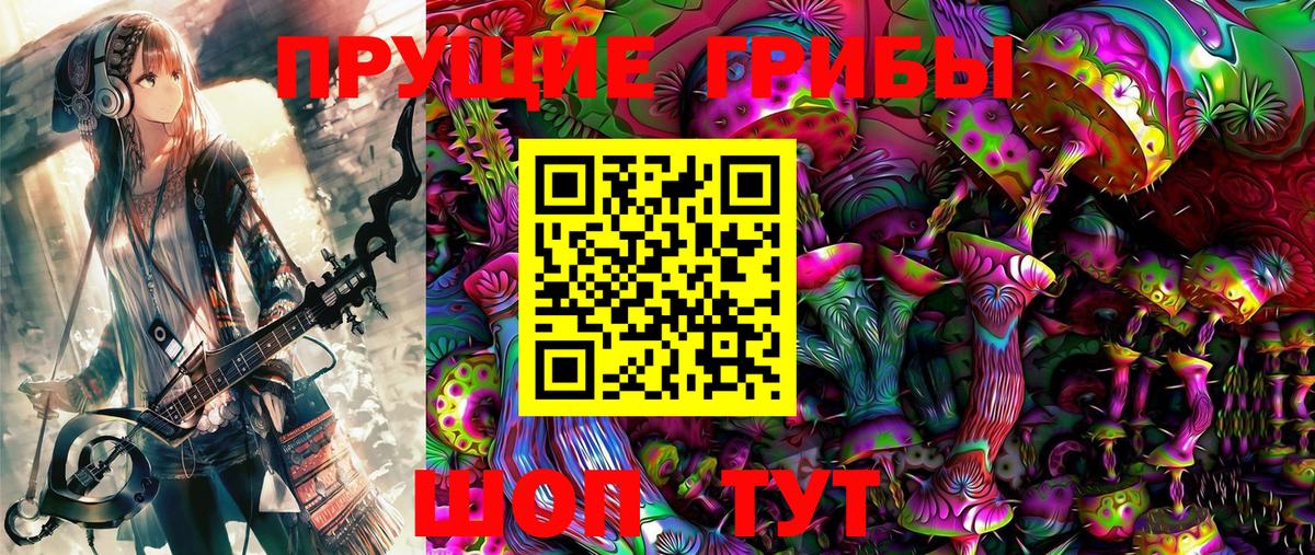 Сальск  Псилоцибиновые грибы мухоморы  хочу   Вход с VPN  Псилоцибиновые грибы прущие грибы 
